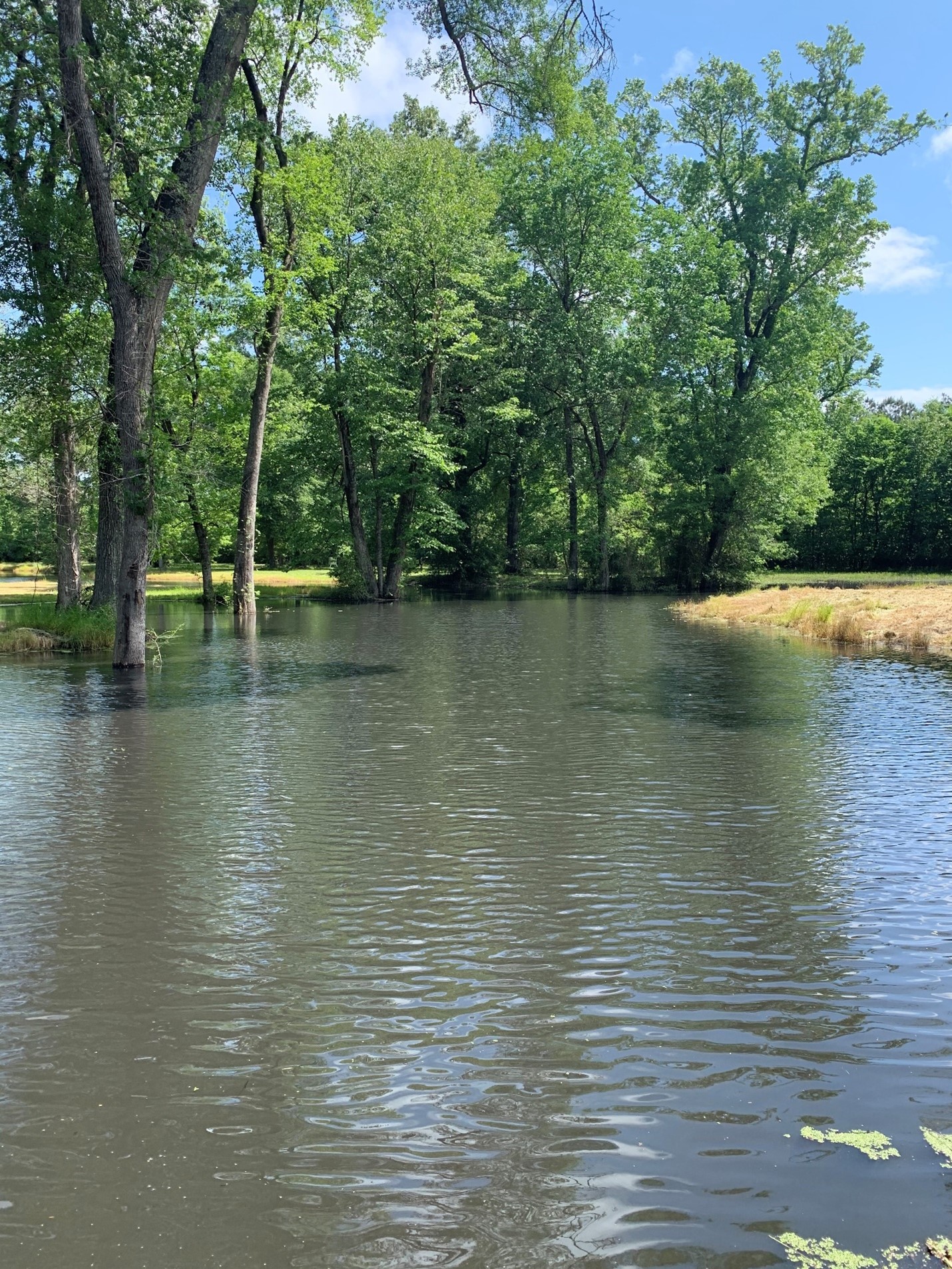 Lake Pond Construction